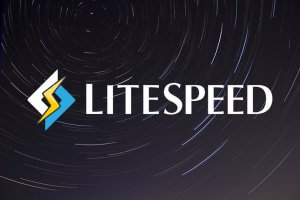litespeed web hosting